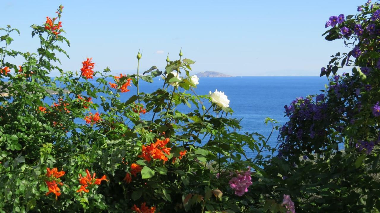Villa Irini Epidaurus Luaran gambar
